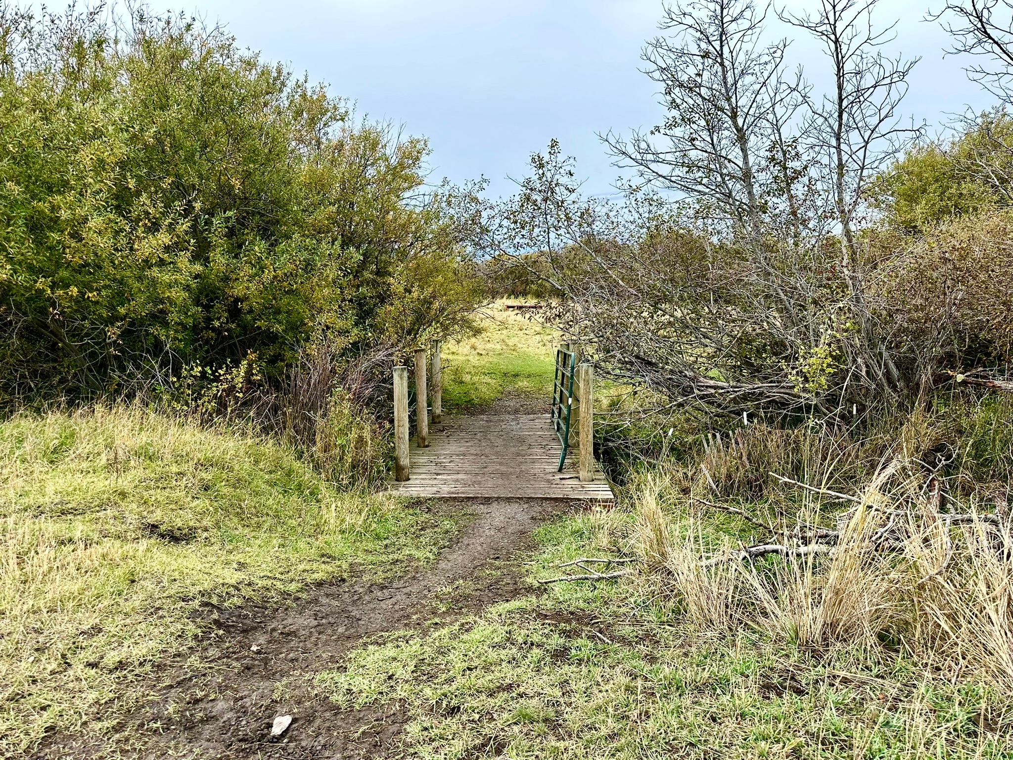 TBD Jimmy Green Road