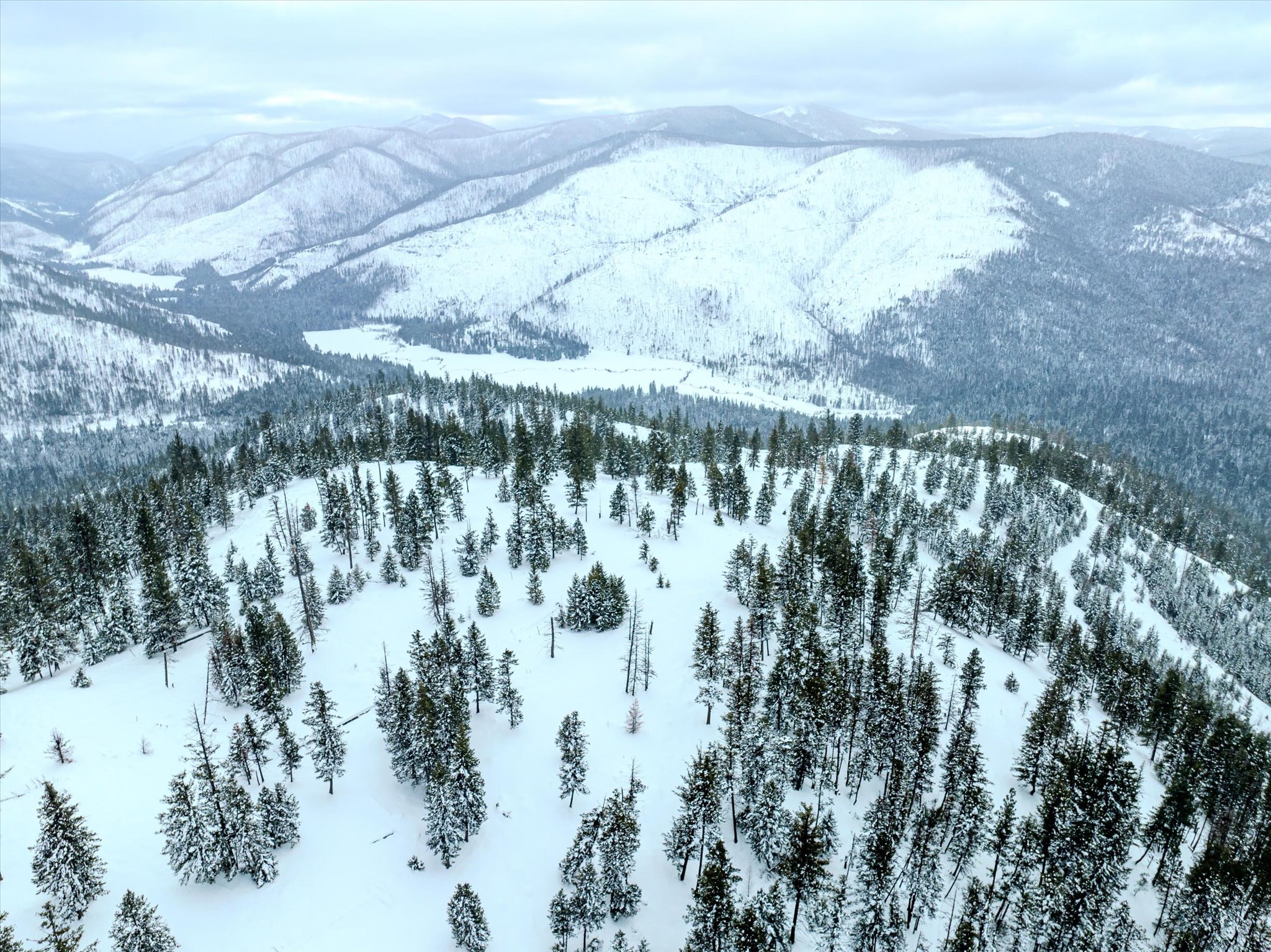 Nhn McGinnis Meadows - Bayhorse Road Section 1
