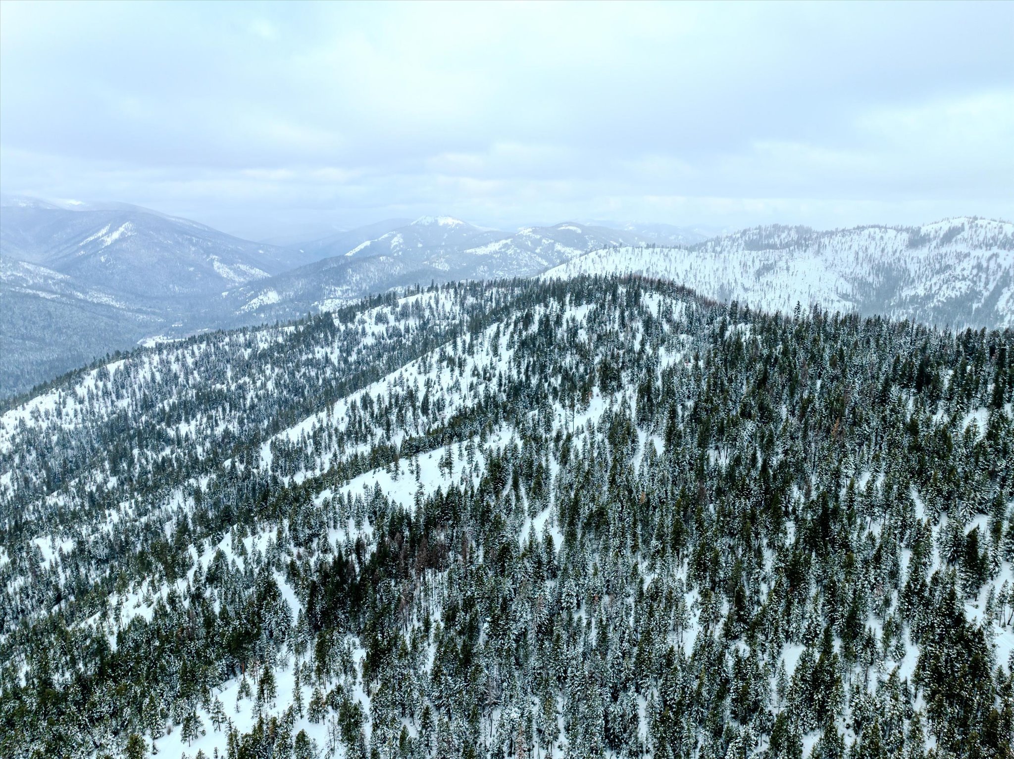 Nhn McGinnis Meadows - Bayhorse Road Section 1