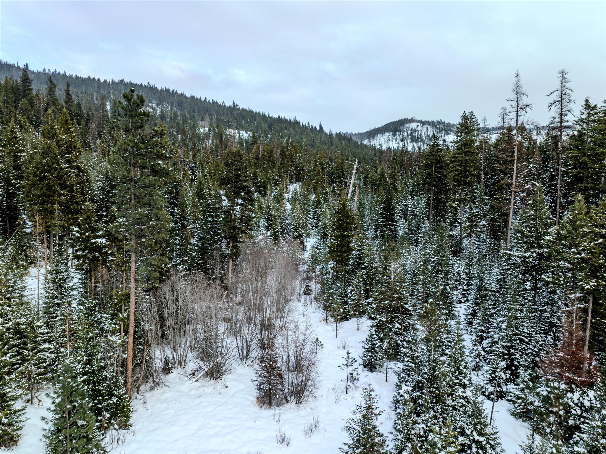 Nhn McGinnis Meadows - Bayhorse Road Section 1