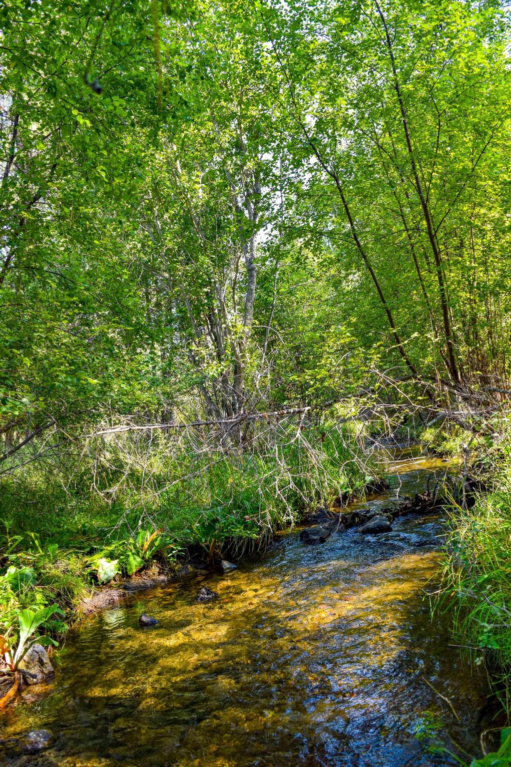 53315 Timberline Way