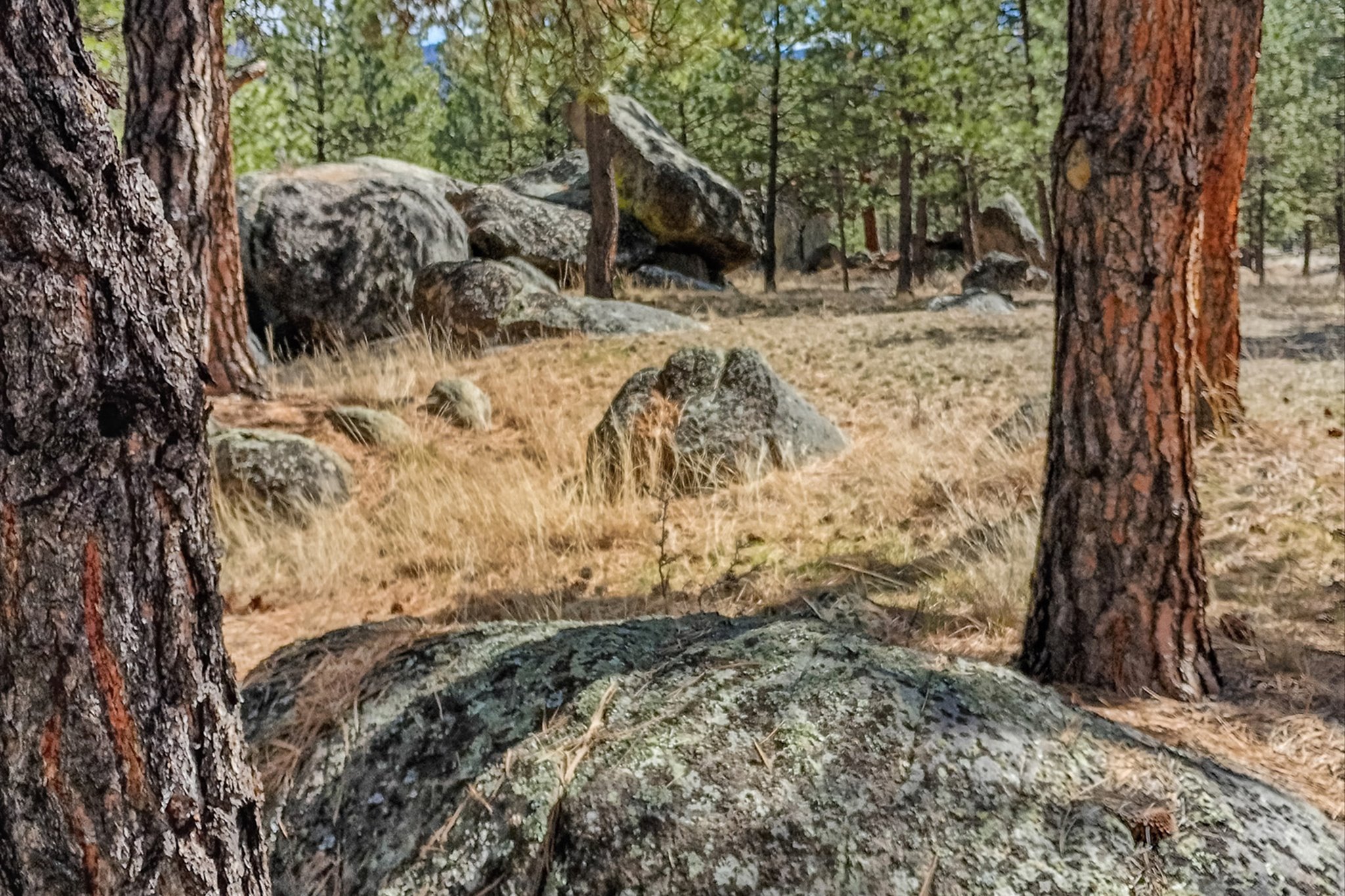 2850 Baxendale Drive