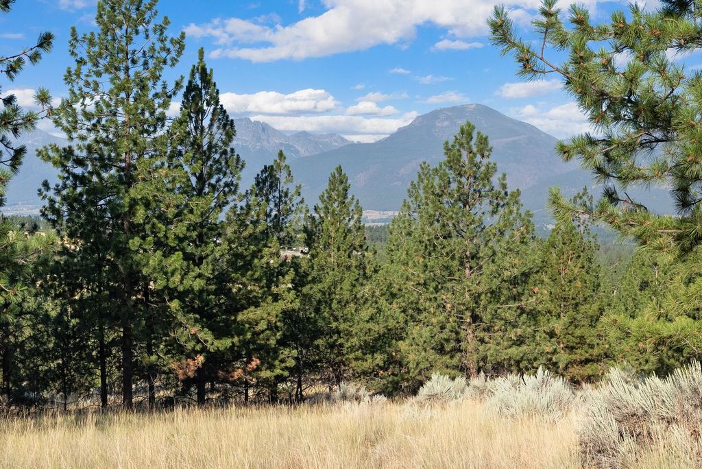 Photo of Nhn Stans Way, Stevensville, MT 59870 (MLS # 30055868)