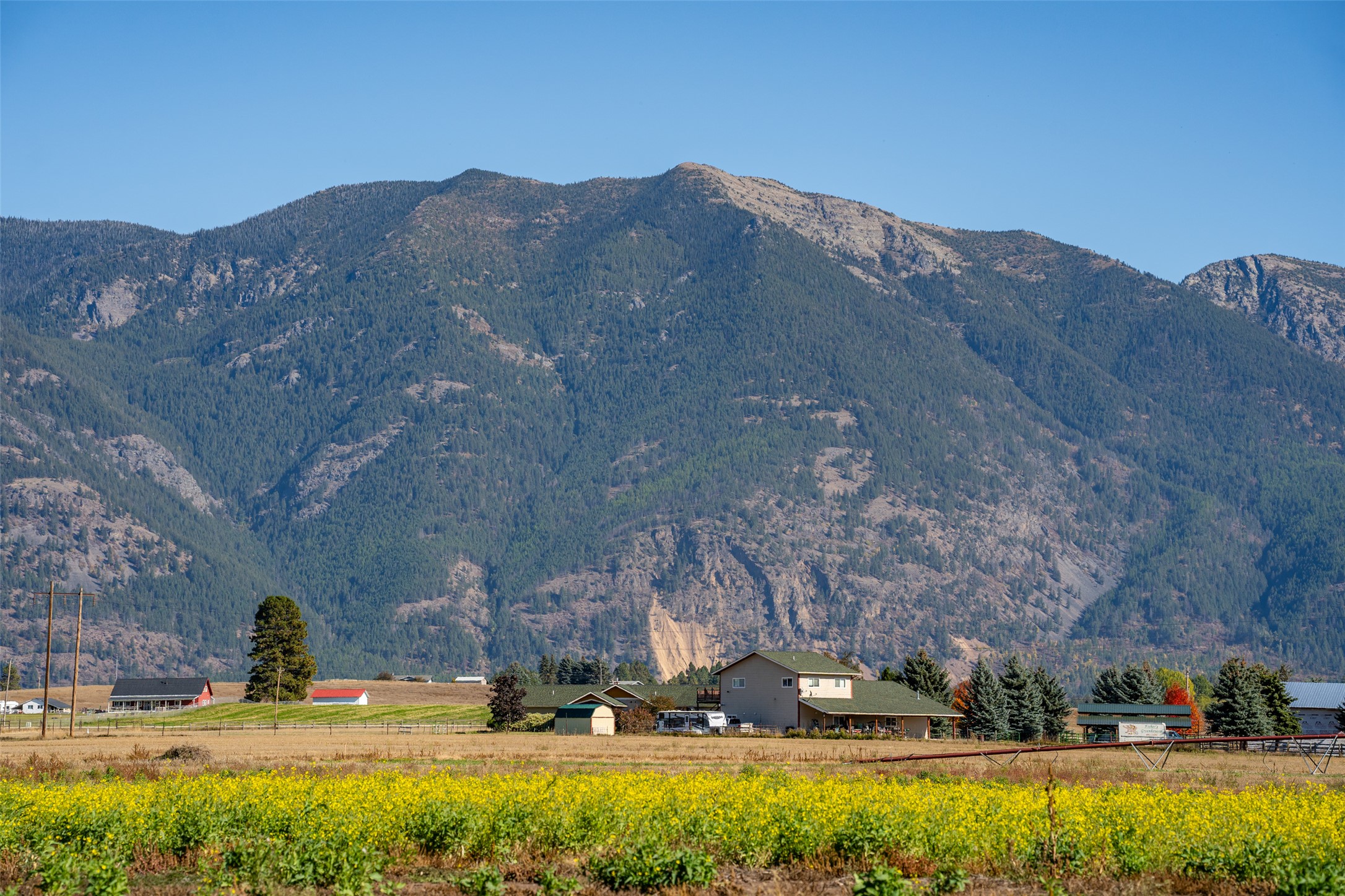 2049 Homestead Trail