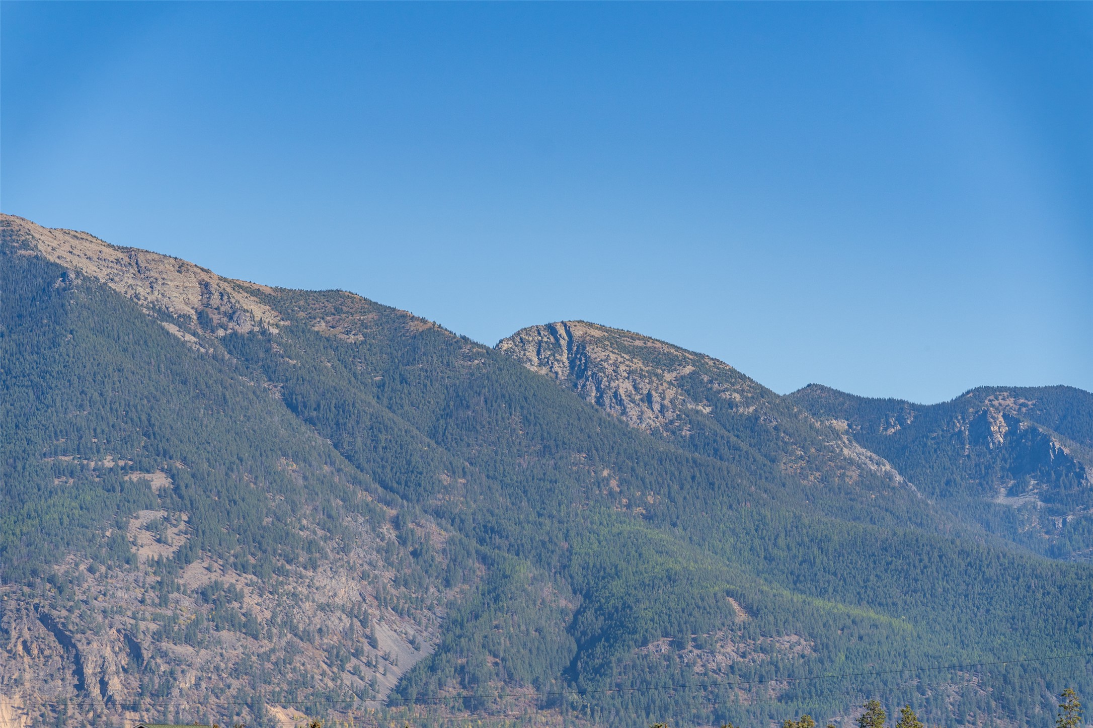 2049 Homestead Trail