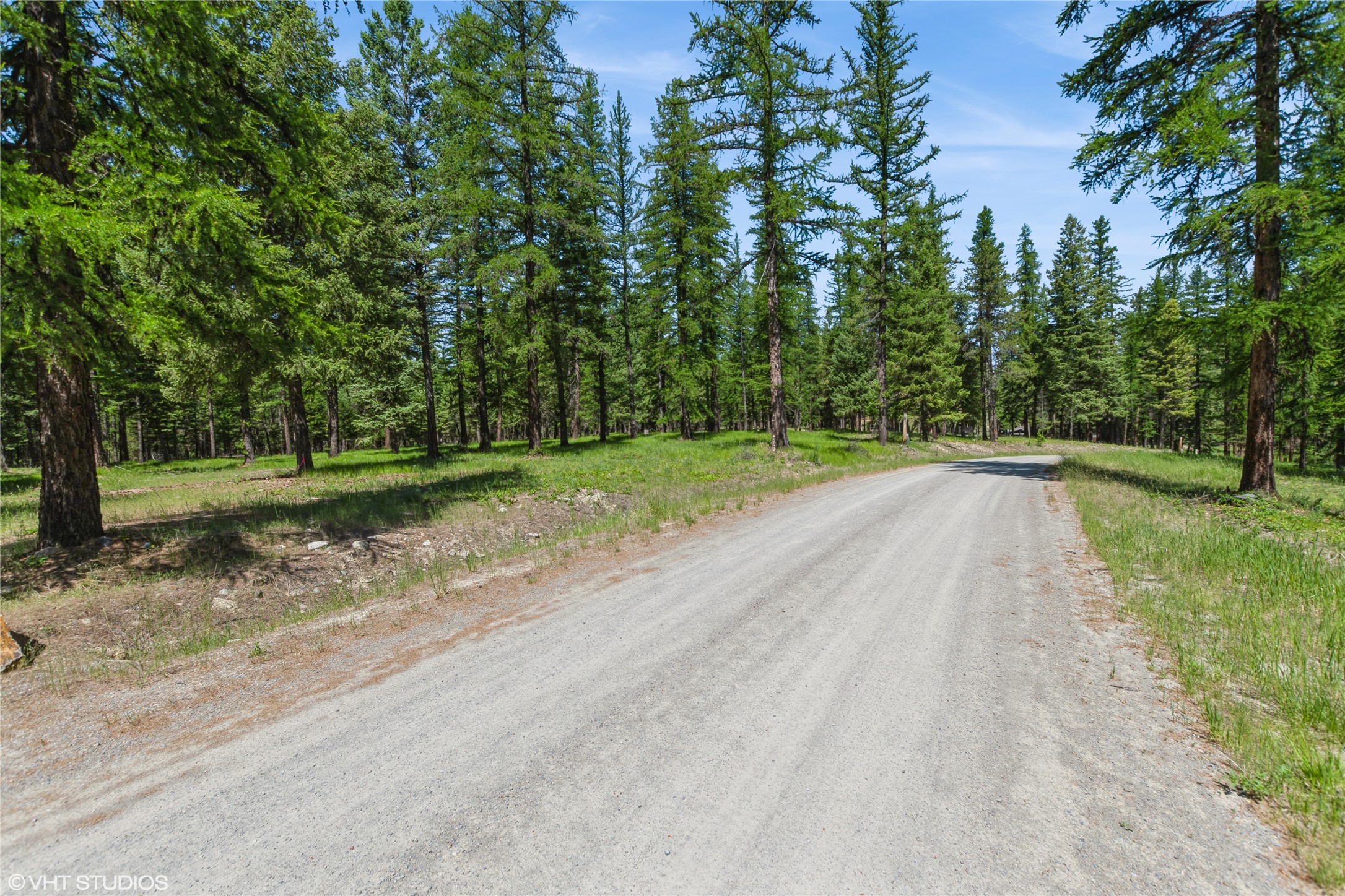 337 Forest Loop