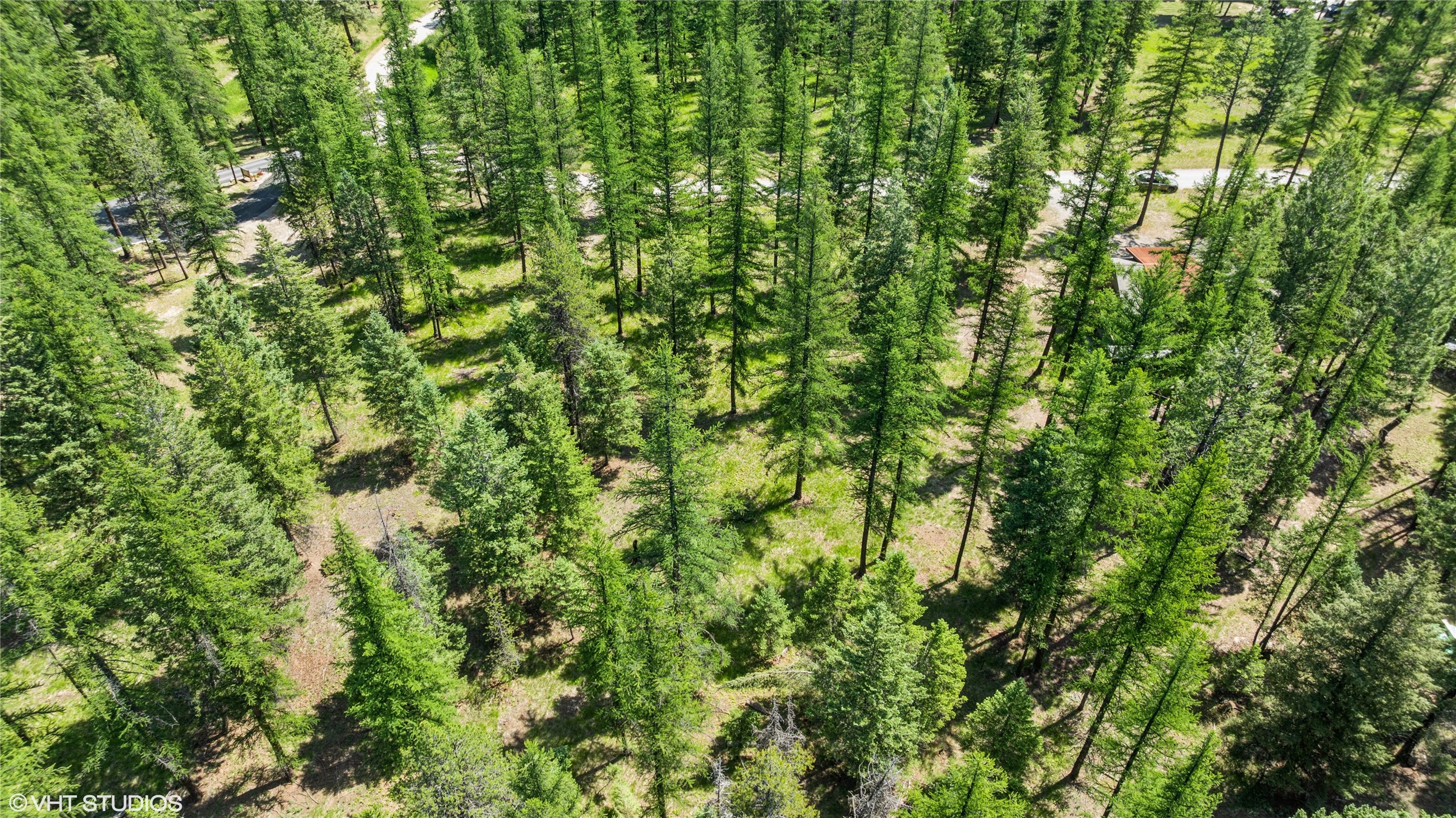 337 Forest Loop