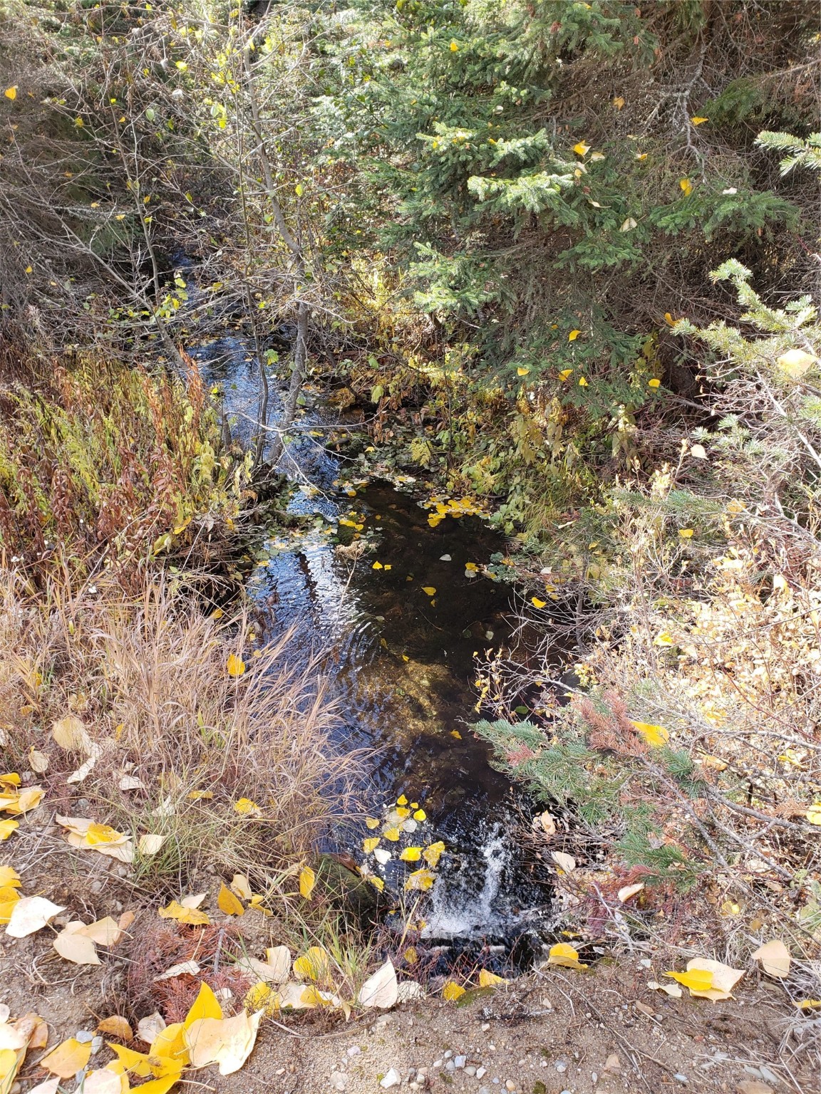 114a Packer Creek Road