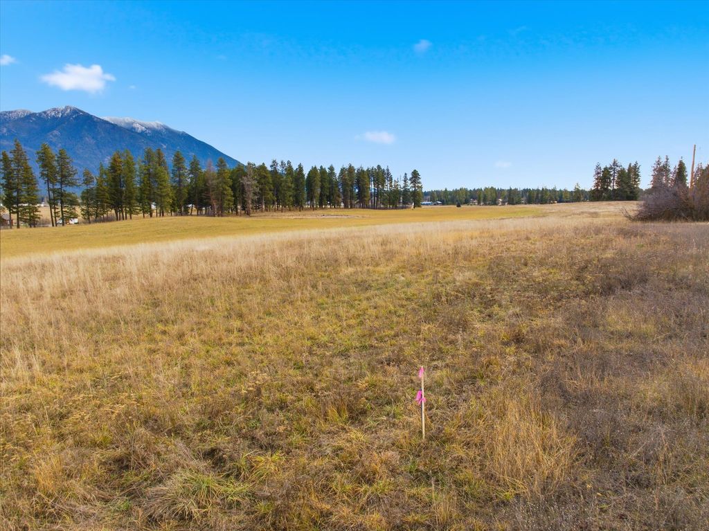 Photo of 211 Patriots Lane, Columbia Falls, MT 59912 (MLS # 30061074)
