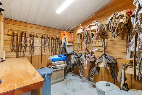 Tiny photo for 4509 Dearborn Canyon Road, Augusta, MT 59410 (MLS # 30067908)