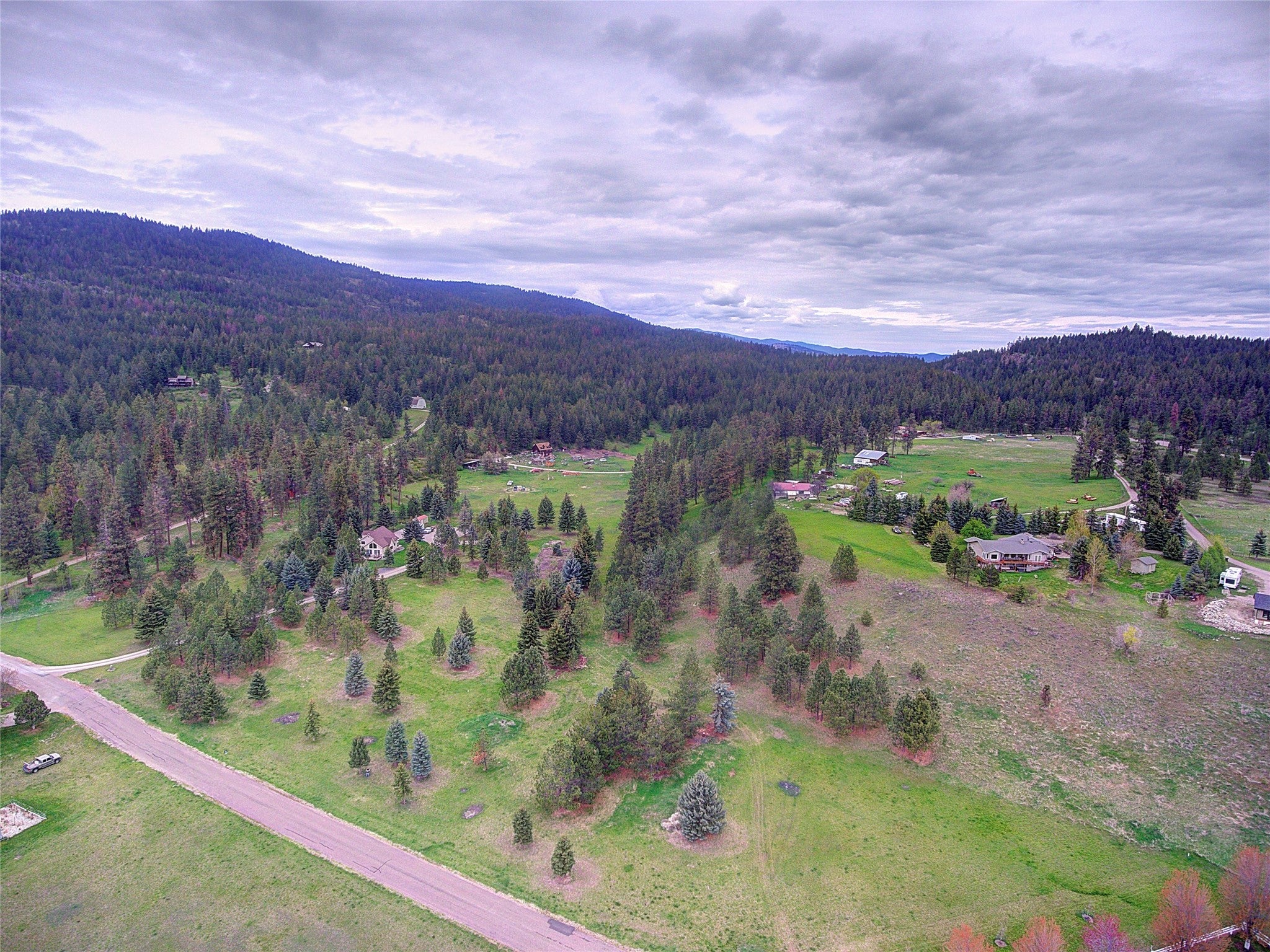 NHN Blue Spruce Drive - Photo 3