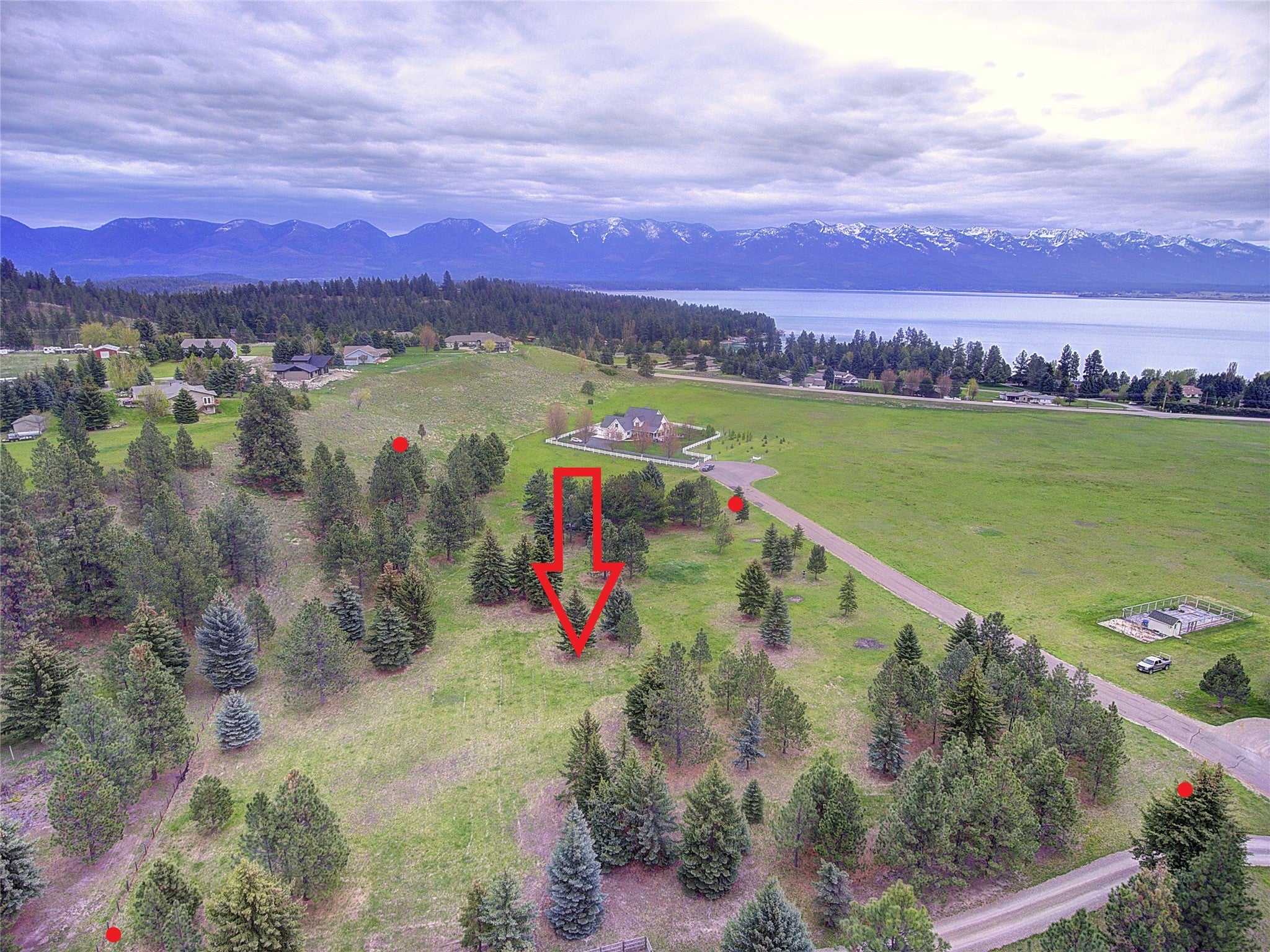 NHN Blue Spruce Drive - Photo 4