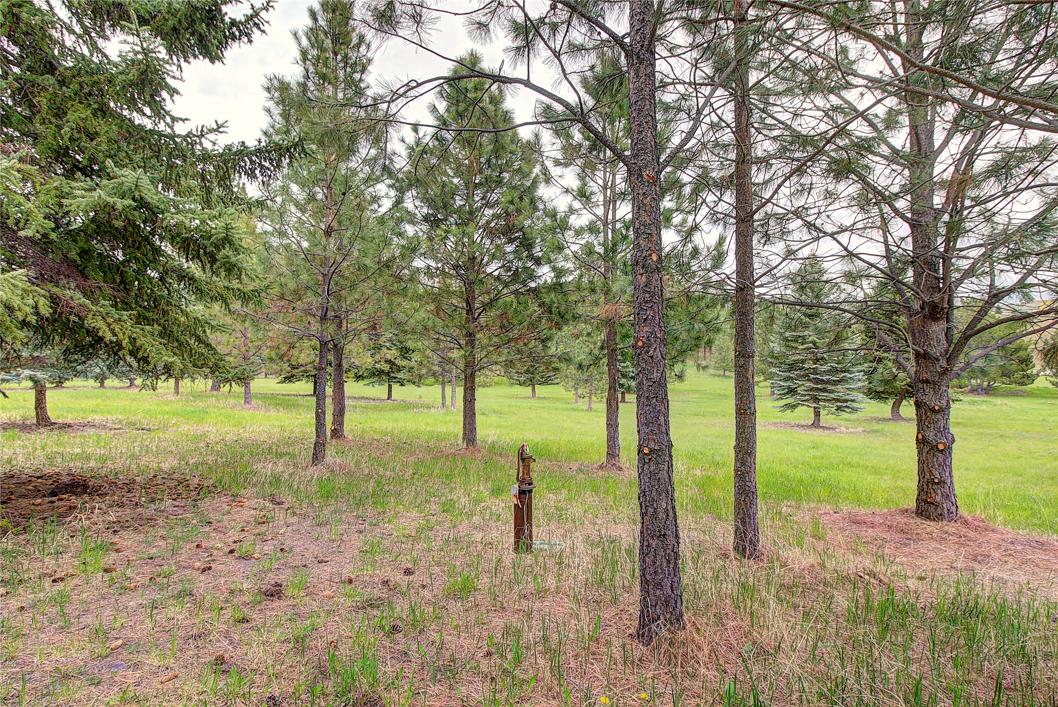NHN Blue Spruce Drive - Photo 2