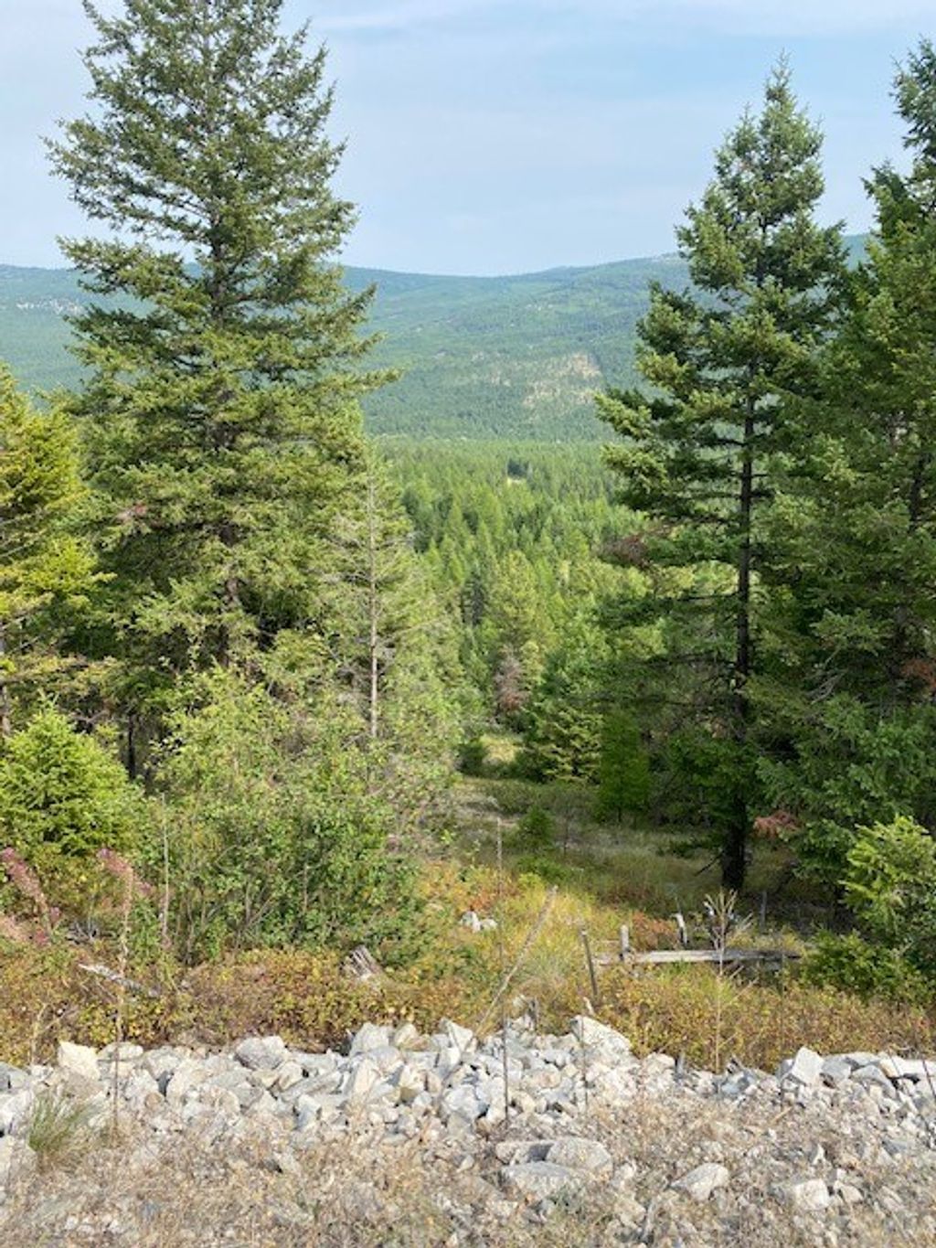 Photo of 108 Conley Court, Kila, MT 59920 (MLS # 30064167)