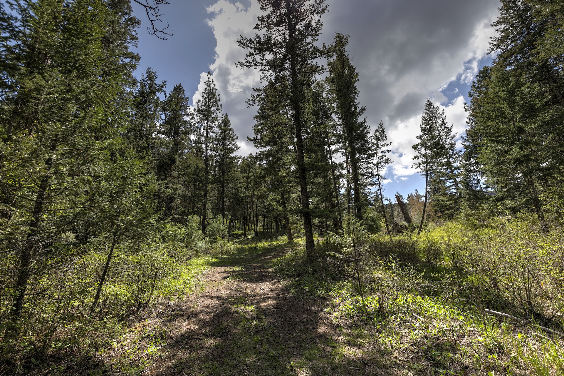 13275 Balsamroot Road