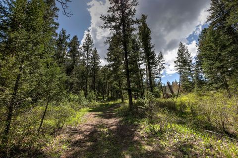 Tiny photo for 13275 Balsamroot Road, Lolo, MT 59847 (MLS # 30068369)