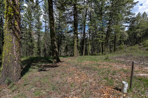 Tiny photo for 13275 Balsamroot Road, Lolo, MT 59847 (MLS # 30068369)