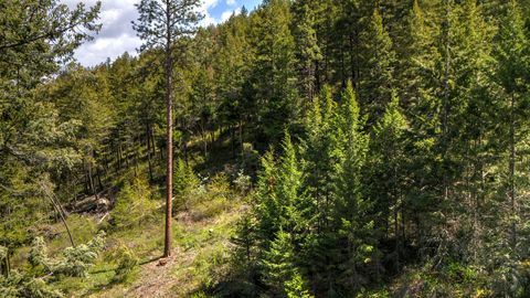 Tiny photo for 13275 Balsamroot Road, Lolo, MT 59847 (MLS # 30068369)
