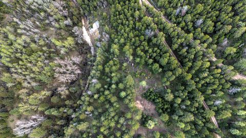 Tiny photo for 13275 Balsamroot Road, Lolo, MT 59847 (MLS # 30068369)