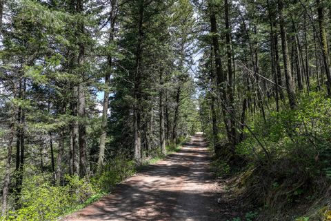 Tiny photo for 13275 Balsamroot Road, Lolo, MT 59847 (MLS # 30068369)