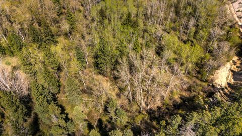 Tiny photo for 13275 Balsamroot Road, Lolo, MT 59847 (MLS # 30068369)