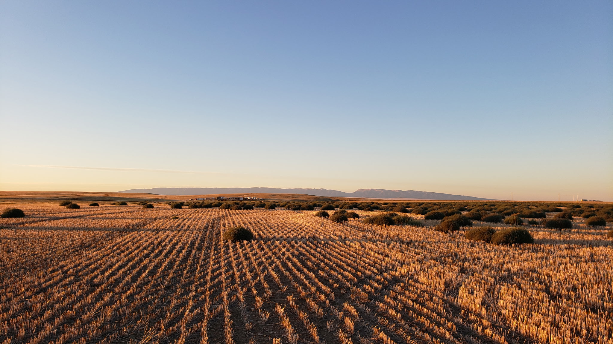 TBD Antelope Road
