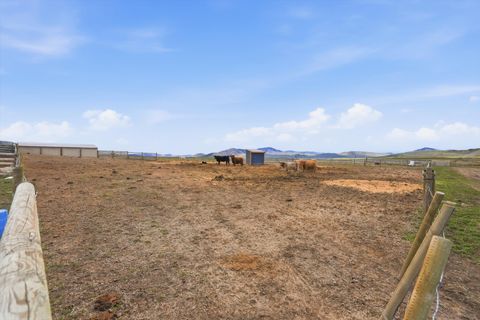 Tiny photo for 37 Andrews Road, Hot Springs, MT 59845 (MLS # 30068434)