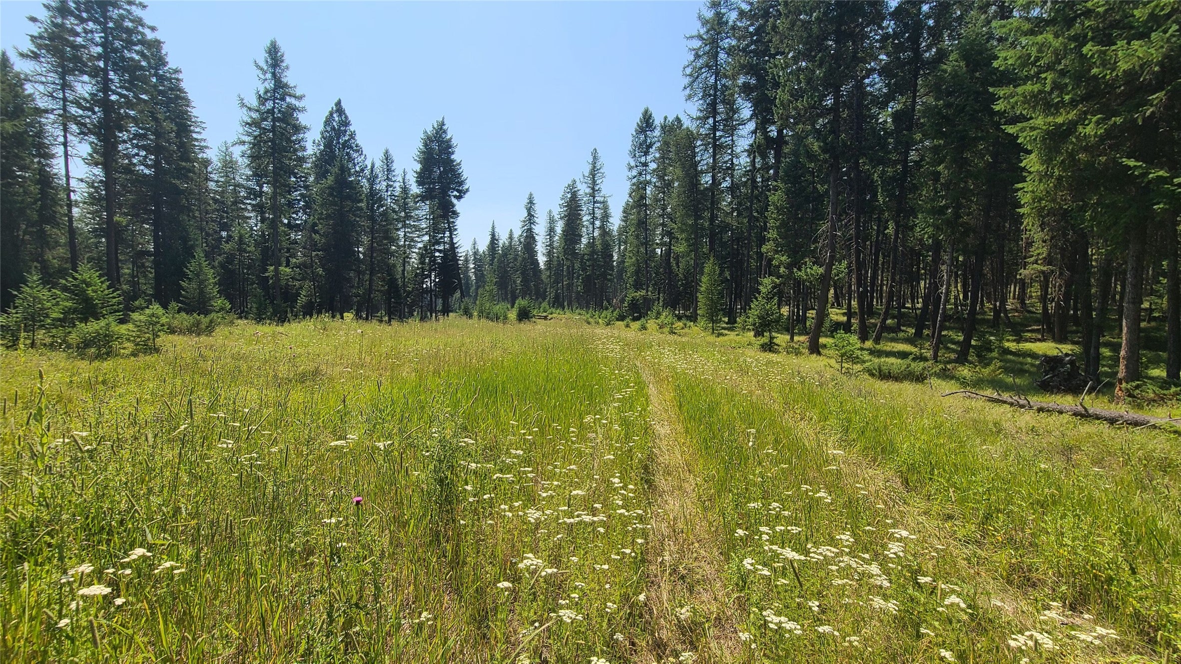 128 Whitefish Forest Loop