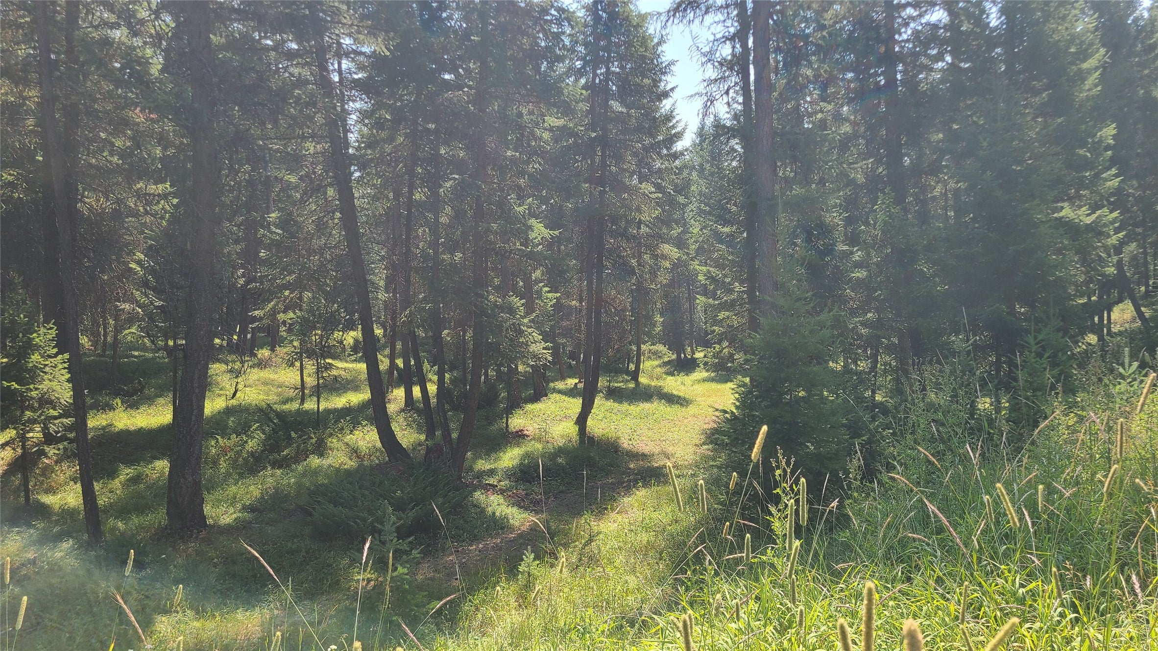128 Whitefish Forest Loop