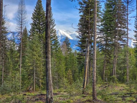 TBD Providence Lane Condon MT 59826