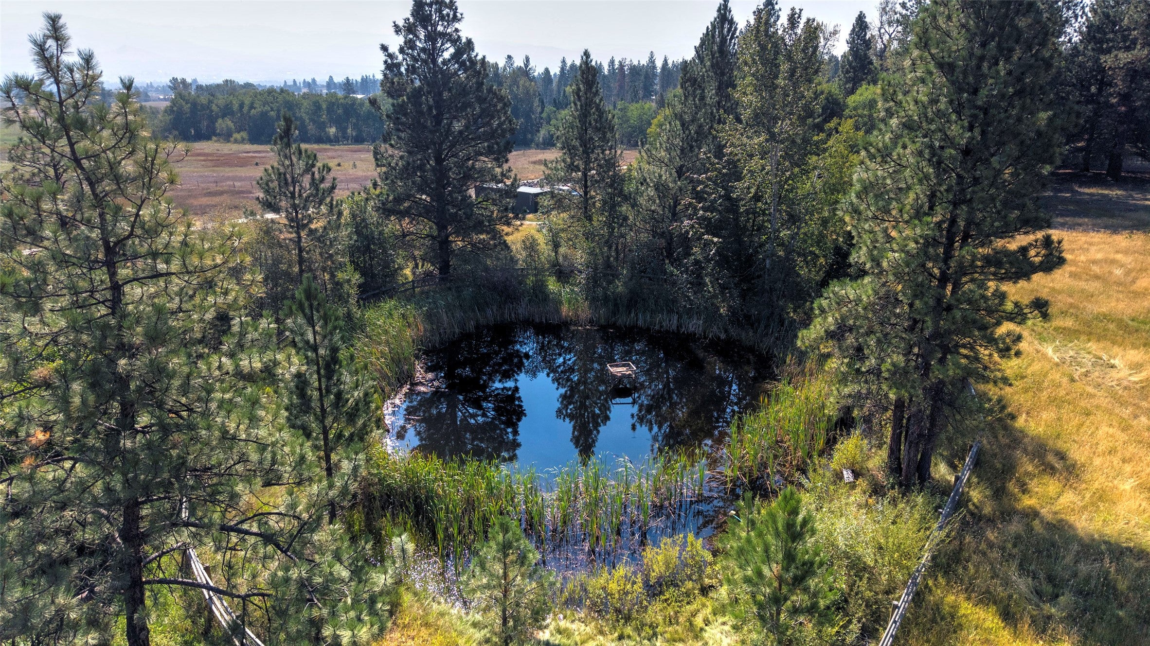 799 Bear Creek Trail