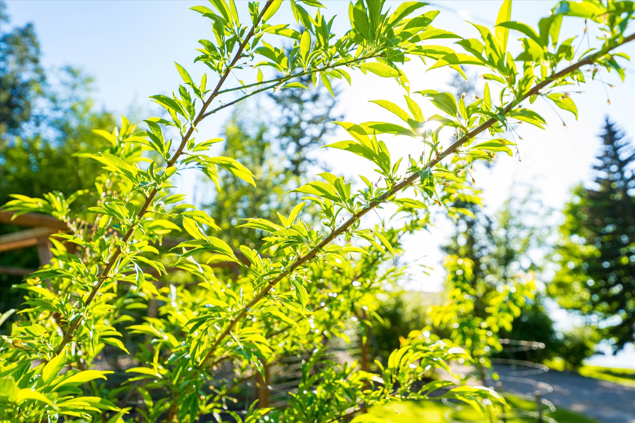 Polson, Montana 59860, United States, 4 Bedrooms Bedrooms, ,3 BathroomsBathrooms,Residential,Active,146481