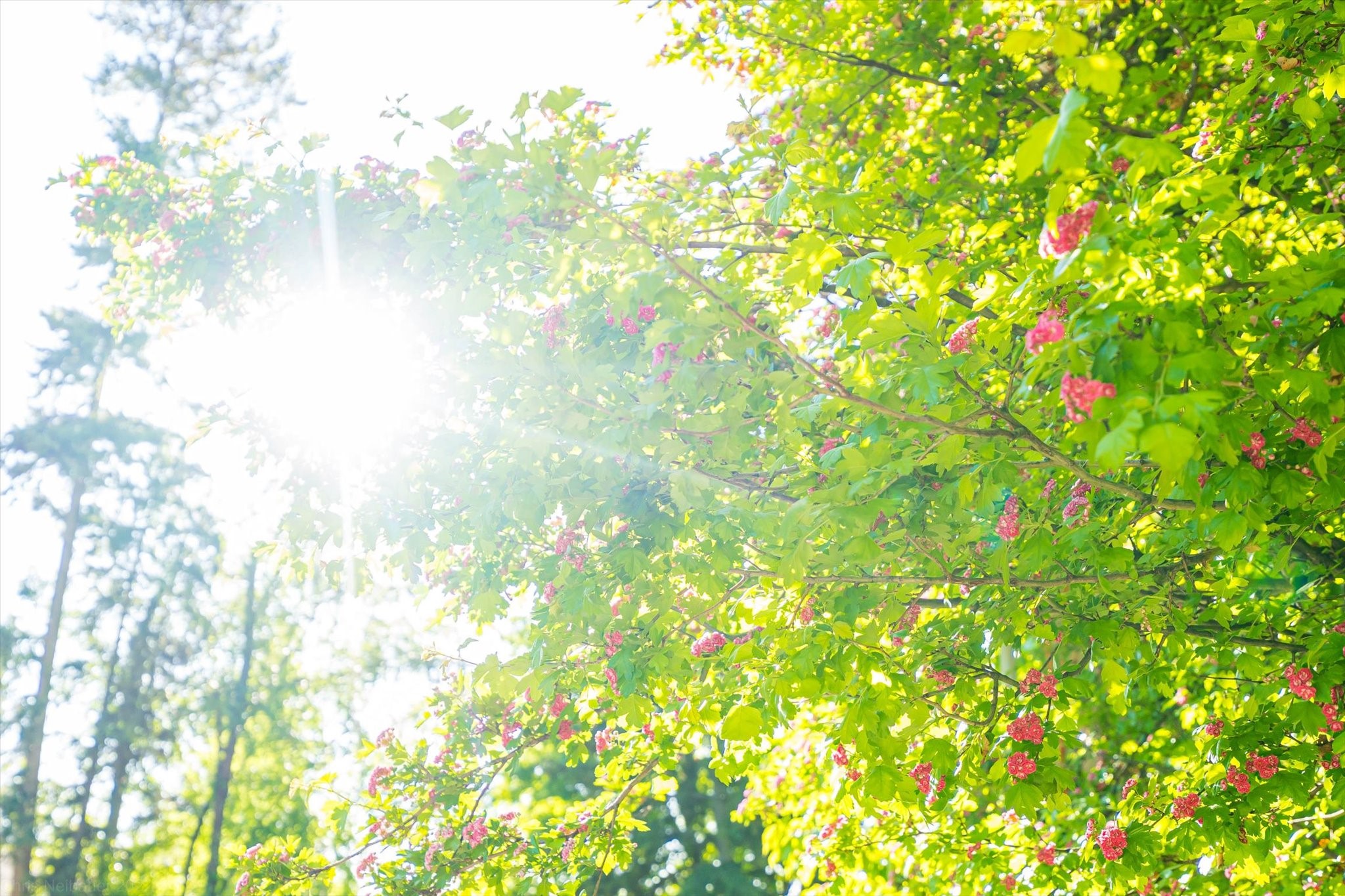 Polson, Montana 59860, United States, 4 Bedrooms Bedrooms, ,3 BathroomsBathrooms,Residential,Active,146481