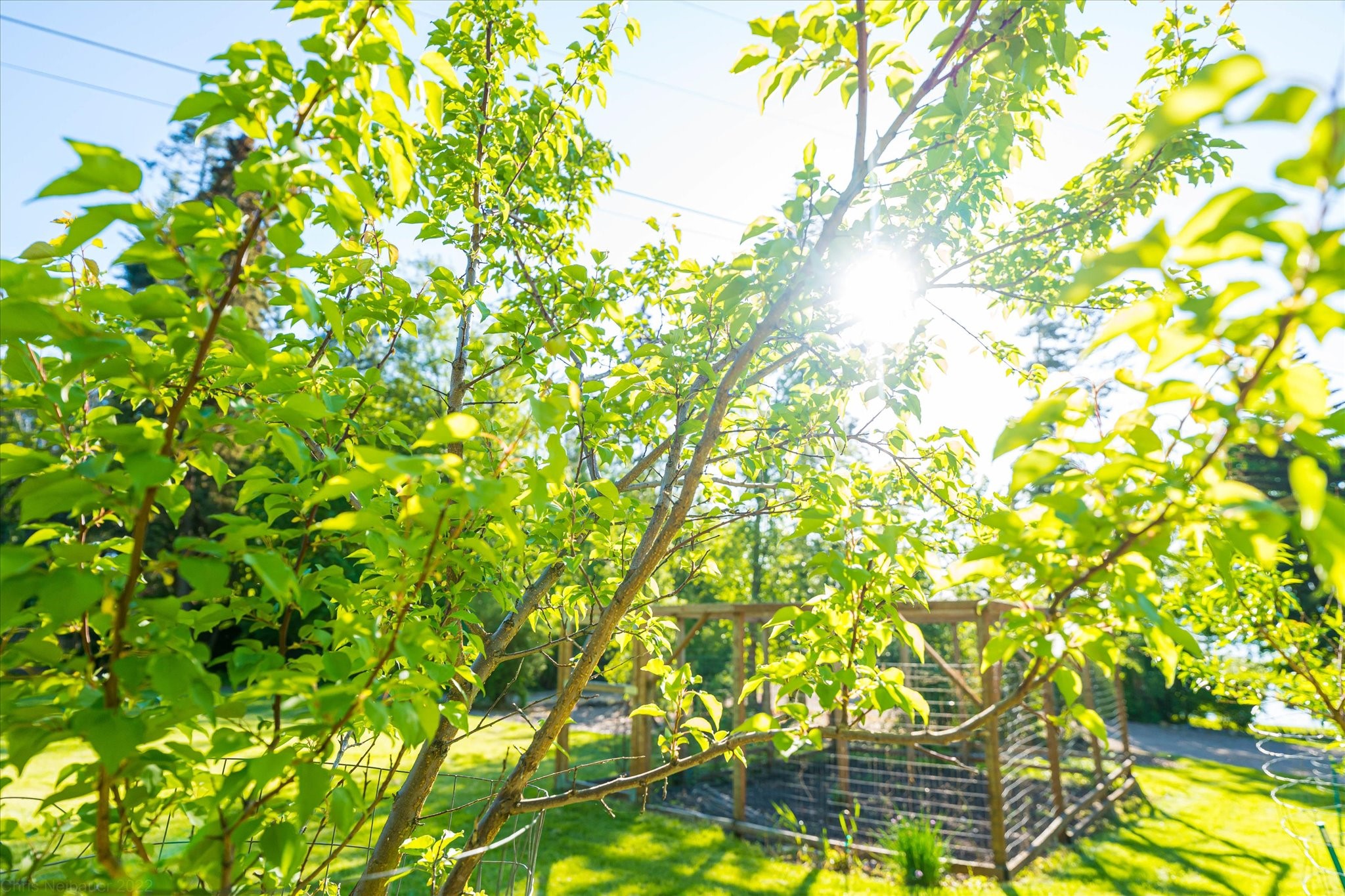 Polson, Montana 59860, United States, 4 Bedrooms Bedrooms, ,3 BathroomsBathrooms,Residential,Active,146481