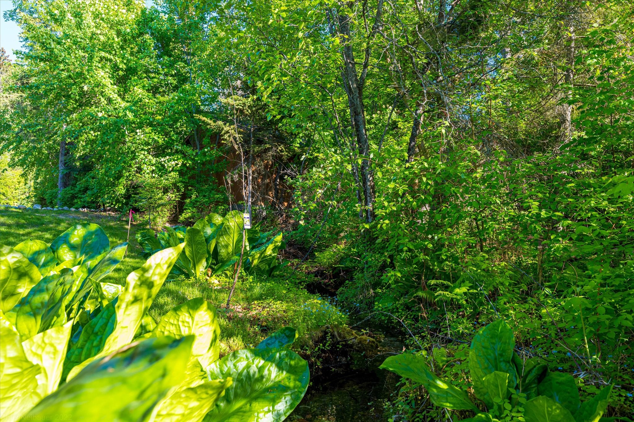 Polson, Montana 59860, United States, 4 Bedrooms Bedrooms, ,3 BathroomsBathrooms,Residential,Active,146481