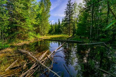 Tiny photo for NHN Stoner Lake Road, Condon, MT 59826 (MLS # 30065775)