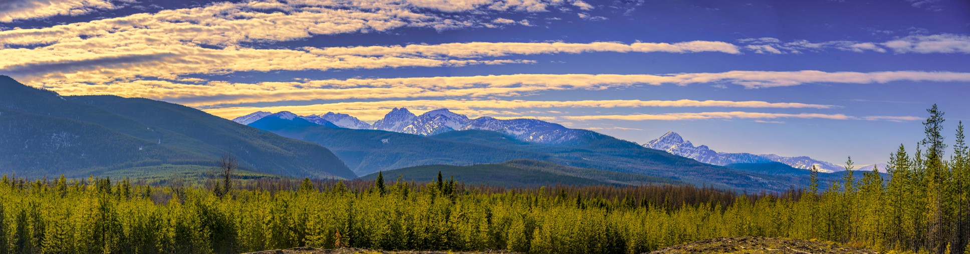 NHN Stoner Lake Road