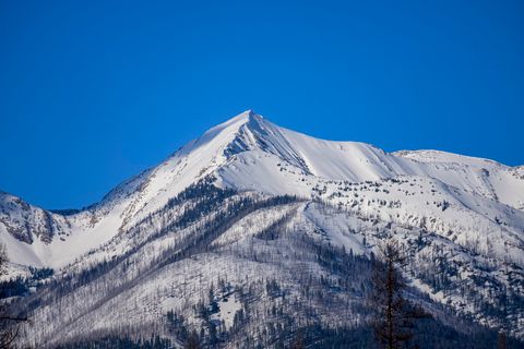 Tiny photo for NHN Stoner Lake Road, Condon, MT 59826 (MLS # 30065775)