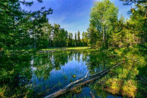 Tiny photo for NHN Stoner Lake Road, Condon, MT 59826 (MLS # 30065775)