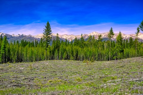 Tiny photo for NHN Stoner Lake Road, Condon, MT 59826 (MLS # 30065775)
