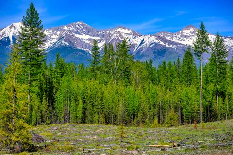 Tiny photo for NHN Stoner Lake Road, Condon, MT 59826 (MLS # 30065775)