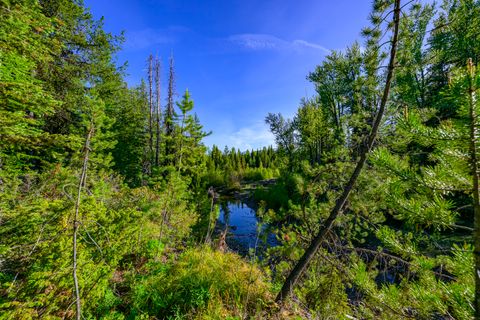 Tiny photo for NHN Stoner Lake Road, Condon, MT 59826 (MLS # 30065775)