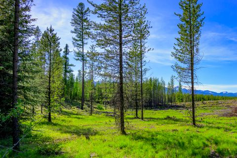Tiny photo for NHN Stoner Lake Road, Condon, MT 59826 (MLS # 30065775)
