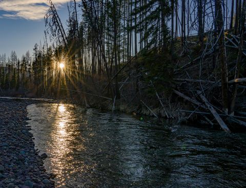 Tiny photo for NHN Stoner Lake Road, Condon, MT 59826 (MLS # 30065775)