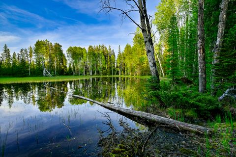 Tiny photo for NHN Stoner Lake Road, Condon, MT 59826 (MLS # 30065775)