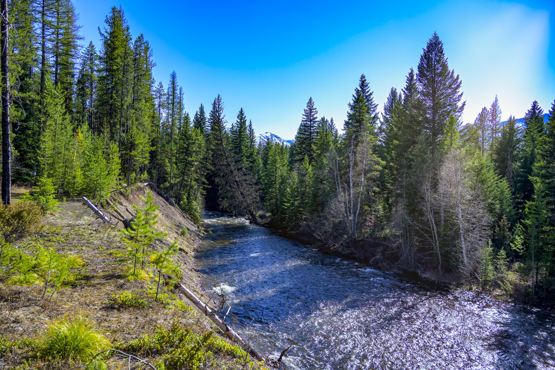 NHN Stoner Lake Road
