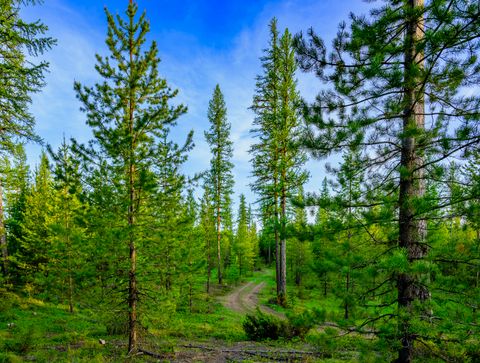 Tiny photo for NHN Stoner Lake Road, Condon, MT 59826 (MLS # 30065775)