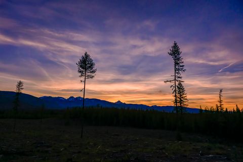 Tiny photo for NHN Stoner Lake Road, Condon, MT 59826 (MLS # 30065775)