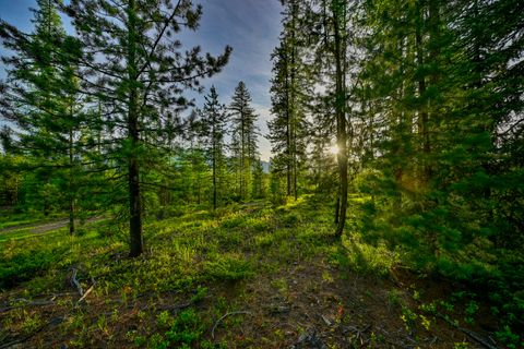 Tiny photo for NHN Stoner Lake Road, Condon, MT 59826 (MLS # 30065775)