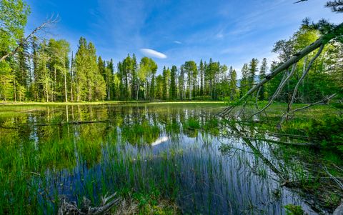 Tiny photo for NHN Stoner Lake Road, Condon, MT 59826 (MLS # 30065775)